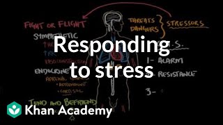 Responding to stress  Processing the Environment  MCAT  Khan Academy [upl. by Yerrot]