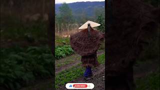 Making ancient Chinese raincoat raincoats ancientchina ytshorts [upl. by Inek]