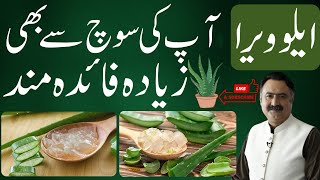 Aloe Vera Benefits  Kawar Gandal Ke Fayde  Aloe Vera Gel Face Mask Hair Growth [upl. by Assetal]