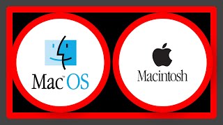 bad CPU type in executable wine  macOS Catalina [upl. by Oine]