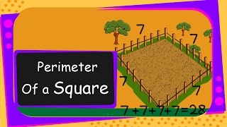 Maths  Perimeter of a Square  English [upl. by Niawat755]