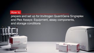 How to setup for Invitrogen™ QuantiGene™ Assays Equipment assay components and storage conditions [upl. by Pollie364]