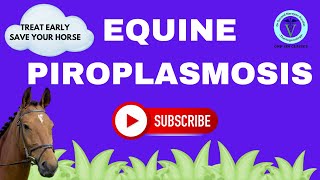 Unlocking Equine Piroplasmosis Etiology Diagnosis and Treatment Explained I GNP Sir [upl. by Tanney]