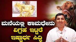 Importance of placing Cow and Calf statue in your home  Vijay Karnataka [upl. by Darcia]