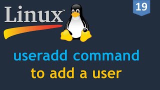 19  Linux for DevOps  Creating a User  useradd command  How to add a user on Linux [upl. by Assina]