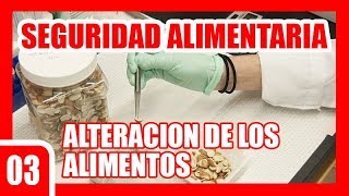 03 Seguridad Alimentaria  Alteración de los alimentos [upl. by Mure]