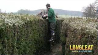 Longleat Maze Takes Hightech Approach to Hedge Trimming [upl. by Jeremie]