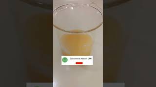 Extraction of pectin from orange peelorange peel extractionpharmacognosy lab [upl. by Vish]