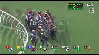 HK Horse Racing at Shatin  Race 7 09112024 prestonepie4395 [upl. by Niwre]