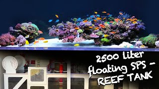 REEF TANK TOURS  exclusive SPS floating REEF  2500 liter HIGH CLASS SETUP [upl. by Howlyn]