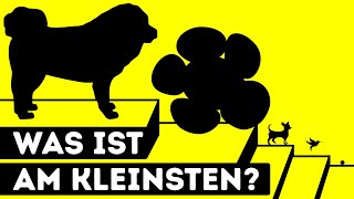 Die 50 kleinsten Tiere Pflanzen Häuser der Welt im Vergleich [upl. by Ardnovahs]