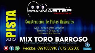 TORO BARROSO mix Pista Karaoke [upl. by Cassil]