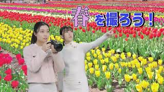 ヨドバシカメラ CM ●花粉の季節（2024年3月） [upl. by Esorlatsyrc]