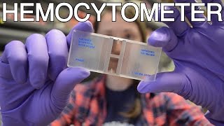 Hemocytometer  What is this thing [upl. by Brose]