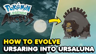 How To Evolve Ursaring Into Ursaluna In Pokemon Legends Arceus [upl. by Gayelord380]