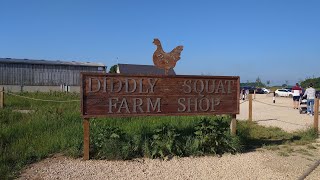 Diddly Squat Farm Shop [upl. by Einoj]