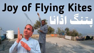 Joy of Flying Kites in the Village Sky [upl. by Che]