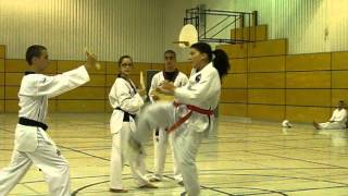 taekwondo  2e cassage Mona Bennaghmouch  ceinture rouge barre noire [upl. by Aciret]