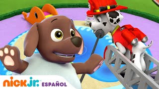 Paw Patrol Patrulla de cachorros  ¡Fiesta en la piscina para cachorros  Nick Jr en Español [upl. by Bette-Ann]