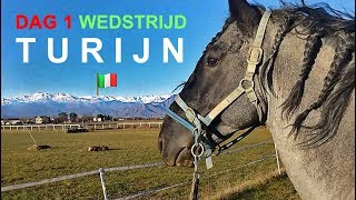 DAG 1 TURIJN  WEDSTRIJD MET HÉÉL VIES PAARD  DRESSUUR CUP ITALY [upl. by Misha289]