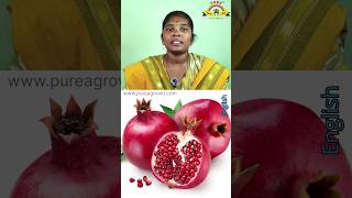 Pomegranate Fruit Uses pomegranate fruit food sweet nutrition nature traditional organic [upl. by Jorgensen]