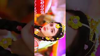 🥰 Radhe Krishna 🙏  mostpowerful mahdev youtubeshorts 4kstatusfullscreen shortvideo 2k24 [upl. by Nnayhs]