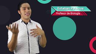 Tips de Genética Examen de Bachillerato de Biología [upl. by Rosaline]