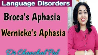 Language disorders Dr Chanchal  brocas aphasia  wernickes aphasia  aphasia in hindi  dysphasia [upl. by Younglove859]