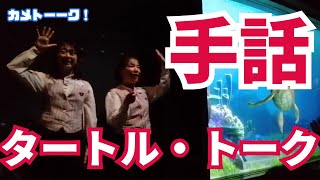 【手話】タートル・トークを手話で演じるガイドさんが神すぎた！【東京ディズニーシー・タートルトーク】 [upl. by Elbys]