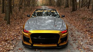 Cervini cobra r hood looks insane on my mustang watch till the end for the finished product [upl. by Sirk]