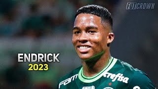 Endrick 2023 ● Palmeiras ► Crazy Skills amp Goals  HD [upl. by Moshe]