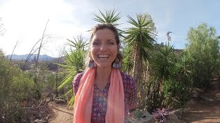 WWOOF Experience In California [upl. by Flaherty]