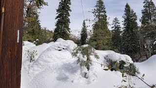 Hocking Hills State park winter hike with dog family explore travel hike beautifulhike dog [upl. by Crespi]