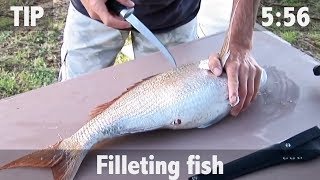 How to Fillet Fish [upl. by Akihsar]