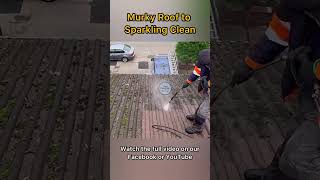 Murky roof to Sparkling clean pressurewashing satisfying [upl. by Kendell]