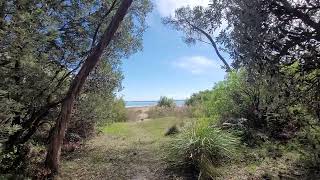 Looking at Lake Victoria Loch Sport Victoria Australia [upl. by Naanac]