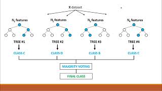 Random forest Algorithm understanding [upl. by Kipper6]