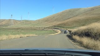 Driving to Patterson on Highway 130 From Mines Road [upl. by Natsyrk]