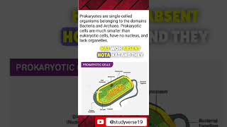 What are prokaryotic cell biology science cell [upl. by Coltson]