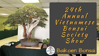 24th Annual Vietnamese Bonsai Society 2023 Show  Baikoen Bonsai Club  Bonsai Exhibition [upl. by Krever]