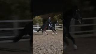 I didn’t ask for that but I encourage forwardness especially since he naturally finds canter hard 🥰 [upl. by Ahseken]