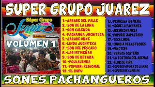 Sones Pachangueros Volumen 1 Super Grupo Juárez [upl. by Enitsirhc321]