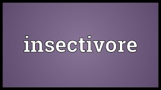 Insectivore Meaning [upl. by Gothurd914]