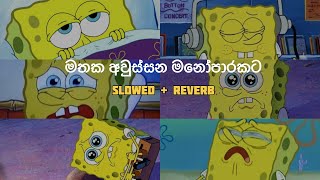 මතක අවුස්සන මනෝපාරකට  Slowed and Reverb Songs  manoparakata sindu playlist 5 [upl. by Speroni305]