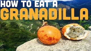 HOW TO EAT GRANADILLA [upl. by Ylro]