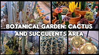 Botanical Garden Cactus and Succulents [upl. by Naples732]