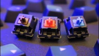 Mechanical Switch Comparison Sound Only [upl. by Anhavas951]