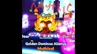 I HATCHED THE NEW MYTHICAL DOMINUS ALIENUS IN PET SIM X Read Desc [upl. by Anaeirb625]