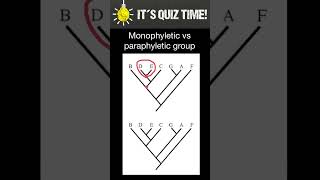 Monophyletic vs Paraphyletic groups [upl. by Svoboda]