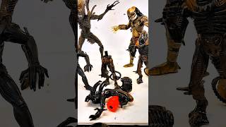 NECA Ultimate Predator Alien Xenomorph Warrior shorts actionfigures toyphotography [upl. by Noremmac]